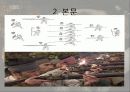 임진전쟁 기에 보여준 선조의 전란 극복 노력 13페이지