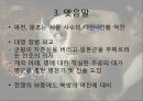 임진전쟁 기에 보여준 선조의 전란 극복 노력 14페이지