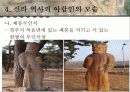 중세 아랍인들의 신라 지리관과 서역문물의 한반도 전래 11페이지