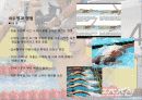 수영 발달사 16페이지