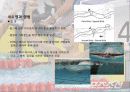 수영 발달사 17페이지
