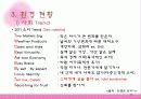 소녀시대 광고가 소비자 구매행동에 미치는 영향 11페이지