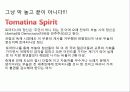 스페인 토마토축제 9페이지