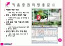 키움증권 기업 분석 29페이지