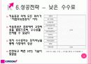 키움증권 기업 분석 31페이지