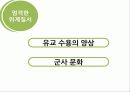 한국인의 음주행동 30페이지