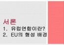유럽연합의 현황과 국제 정치 현실에 끼칠 영향 3페이지