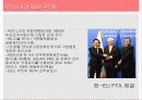 유럽연합의 현황과 국제 정치 현실에 끼칠 영향 23페이지