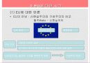 유럽연합의 현황과 국제 정치 현실에 끼칠 영향 27페이지
