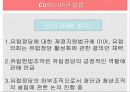 유럽연합의 현황과 국제 정치 현실에 끼칠 영향 34페이지