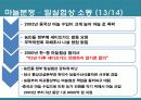 세이프가드(Safe Guard)-한중 마늘분쟁 21페이지
