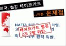국제통상관계법 세이프가드 17페이지