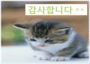 노인학대 서울특별시노인보호전문기관 30페이지