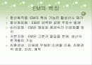 EM(Effective Micro - organisms) 13페이지