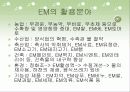 EM(Effective Micro - organisms) 15페이지
