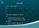 기업전략에 대하여 4페이지