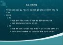기업전략에 대하여 17페이지