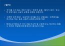 제1장  태권도 개념론 17페이지