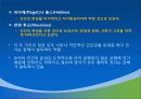 제1장  태권도 개념론 61페이지