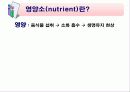식품의 기본성분 (영양소와 건강) -물, 단백질, 탄수화물 등 12페이지