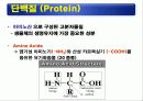 식품의 기본성분 (영양소와 건강) -물, 단백질, 탄수화물 등 13페이지