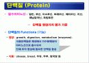 식품의 기본성분 (영양소와 건강) -물, 단백질, 탄수화물 등 14페이지