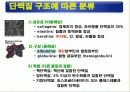 식품의 기본성분 (영양소와 건강) -물, 단백질, 탄수화물 등 17페이지
