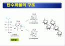 식품의 기본성분 (영양소와 건강) -물, 단백질, 탄수화물 등 22페이지