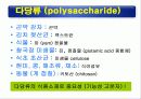 식품의 기본성분 (영양소와 건강) -물, 단백질, 탄수화물 등 26페이지
