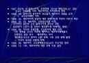 민족주의의 부상,코소보 독립분쟁   11페이지