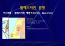 민족주의의 부상,코소보 독립분쟁   18페이지
