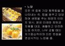 색채심리학 13페이지