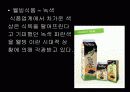 색채심리학 35페이지