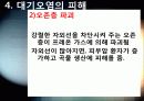 대기오염의 원인과 피해 사레 및 대책 10페이지