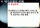 대기오염의 원인과 피해 사레 및 대책 11페이지