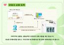 Electronic Commerce (INICIS사에서 개발한 INIP2P에 대해서 조사하였습니다.) -이니시스 inip2p 9페이지