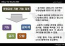 디자인의 이해 - 냉장고 TV 광고 2페이지
