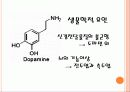 정신분열증 27페이지
