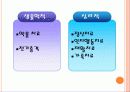 정신분열증 29페이지