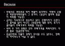 금융시한폭탄 '서브프라임' 무엇이 문제인가? 13페이지