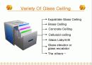 The Glass Ceiling 5페이지