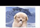 광고 심리학 19페이지