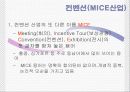 관광산업의 종류 사례분석 12페이지
