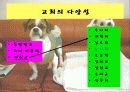 제 3장 교회에 대한 사회학적인 이해 11페이지