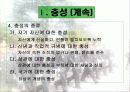 (국가관) 동양과 서양의 국가관 직업 군인의 국가관 민주 시민의 책임과 의무 20페이지