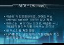 국제관계의 이해 테러문제(테러리즘) 12페이지