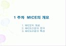 MICE의 개요 1페이지