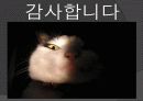 아프가니스탄 전쟁 (Afghanistan War) 26페이지