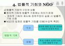 NGO의 정책 영향력 12페이지