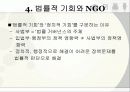 NGO의 정책 영향력 13페이지